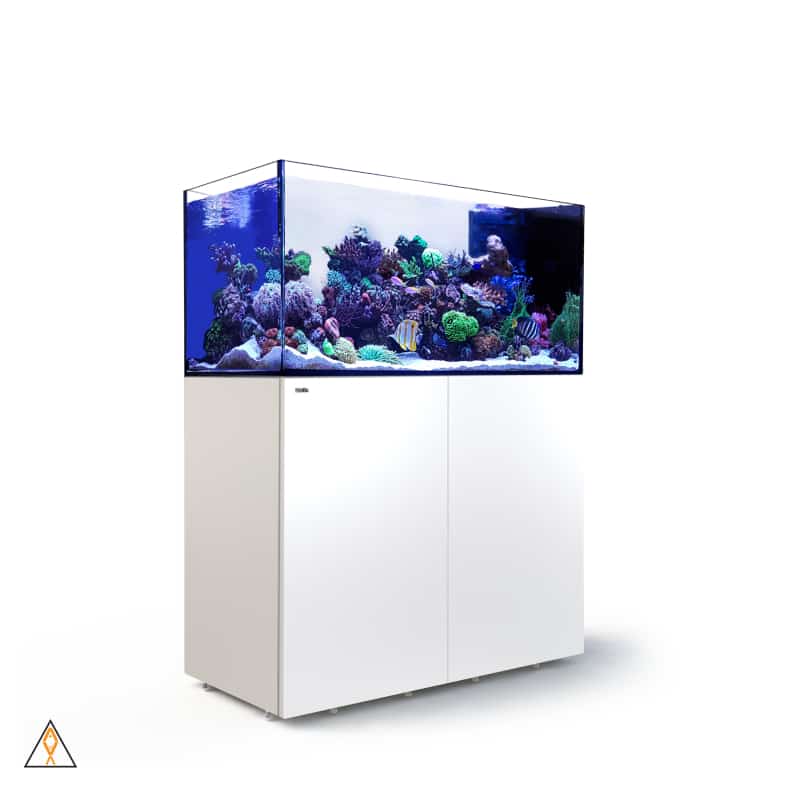 SALE: Red Sea